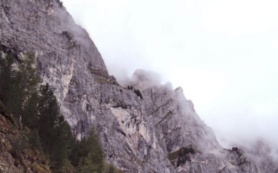 El poder del coaching empresarial para alcanzar el éxito